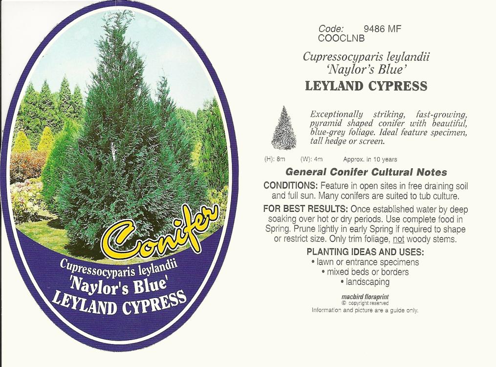 Ornamentals Features